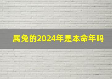 属兔的2024年是本命年吗,2024年属兔本命年运势