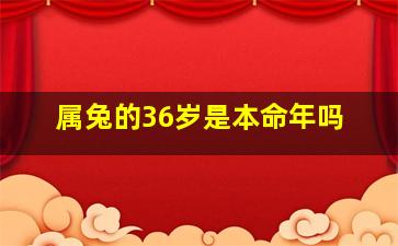 属兔的36岁是本命年吗,属兔男人为什么怕36岁