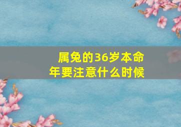 属兔的36岁本命年要注意什么时候,87年属兔36岁什么时分交运