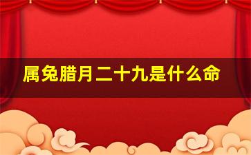 属兔腊月二十九是什么命,2022年腊月二十九出生的孩子命运2022年腊月二十九出生的孩子属什么