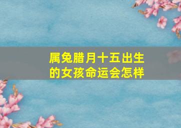 属兔腊月十五出生的女孩命运会怎样,属兔腊月出生好不好