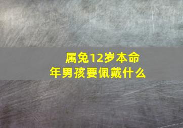 属兔12岁本命年男孩要佩戴什么,男童12岁本命年需要佩戴什么