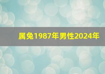 属兔1987年男性2024年,1987年兔男2024年感情与婚姻