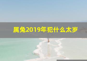 属兔2019年犯什么太岁,属兔犯太岁年份有哪些属兔犯太岁年份表