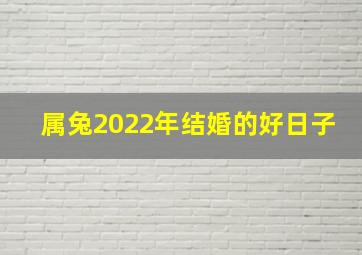 属兔2022年结婚的好日子,2022年属兔腊月结婚最佳日期哪天办喜事最佳