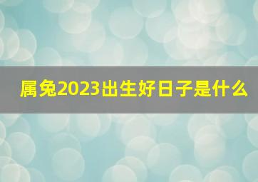 属兔2023出生好日子是什么,2023年属兔好吗几月出生好