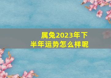 属兔2023年下半年运势怎么样呢,2023年下半年属兔的人运气如何感情生活不波动