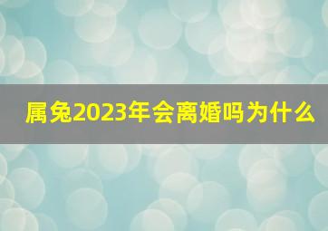 属兔2023年会离婚吗为什么,为什么2023年属兔的会是一个坎有什么大坎和困难