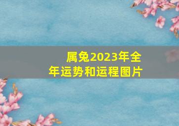 属兔2023年全年运势和运程图片,1951年属兔2023年运势及运程