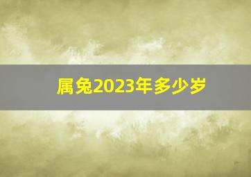 属兔2023年多少岁,2023本命年是多少岁