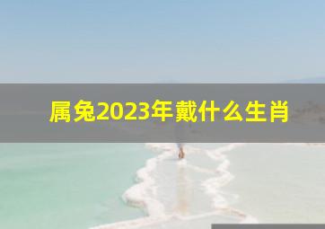 属兔2023年戴什么生肖,2023年生肖兔适合佩戴什么携带本命佛感应力强