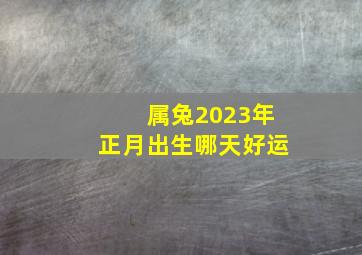 属兔2023年正月出生哪天好运,属兔2023年运程及运势详解2023兔年属兔人本命年每月运势