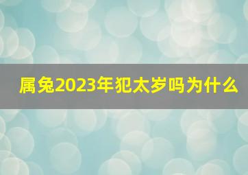 属兔2023年犯太岁吗为什么,2023年属兔本命年值太岁本命年运势及运程