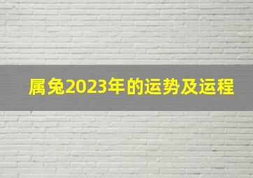 属兔2023年的运势及运程,1975属兔2023年的运势及运程