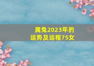 属兔2023年的运势及运程75女,1975年出生属兔人2023年全年运势生肖兔兔年每月运势