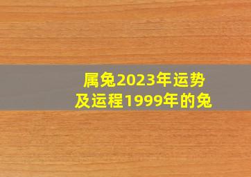 属兔2023年运势及运程1999年的兔,99年属兔男2023年运势婚姻在2023年可以结婚吗