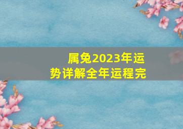 属兔2023年运势详解全年运程完,属兔的2023年运势怎么样