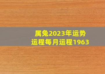 属兔2023年运势运程每月运程1963,属兔的2023年运势运程