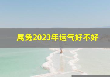 属兔2023年运气好不好,2023年黑兔年是好是坏今年出生属兔人感情运势