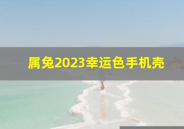 属兔2023幸运色手机壳,1987年属兔什么颜色旺财