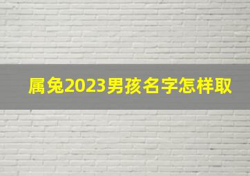 属兔2023男孩名字怎样取,2023年属兔取名宜用字大全