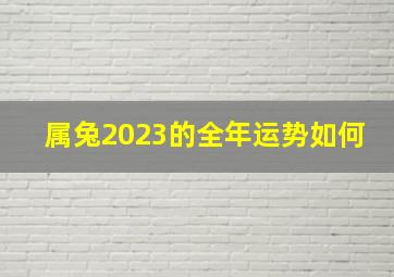 属兔2023的全年运势如何,属兔的2023年运势运程