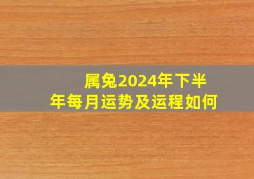 属兔2024年下半年每月运势及运程如何,属兔2024年运势及运程详解