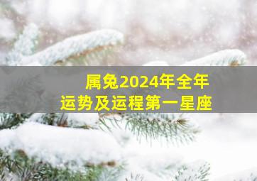 属兔2024年全年运势及运程第一星座