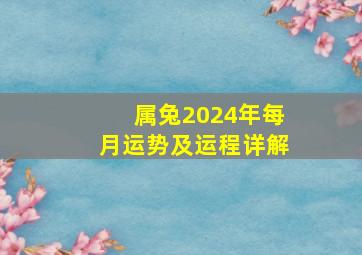 属兔2024年每月运势及运程详解,属兔2024年最大的劫