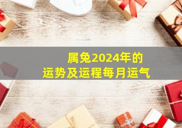 属兔2024年的运势及运程每月运气,2024年运气最好的生肖