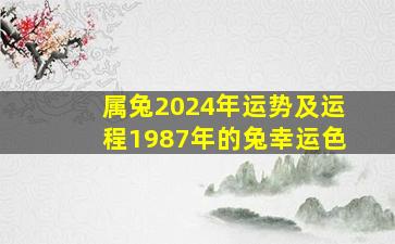 属兔2024年运势及运程1987年的兔幸运色,1987年在2024年运势