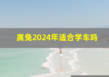 属兔2024年适合学车吗