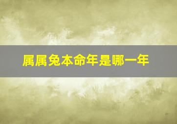 属属兔本命年是哪一年,属兔的是哪一年的