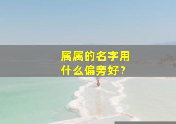 属属的名字用什么偏旁好？,属名写哪