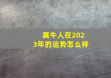 属牛人在2023年的运势怎么样,属牛女2023年的运气和财运怎么样