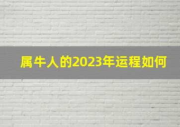 属牛人的2023年运程如何,属牛的人2023年运势及运程财富比较低迷但事业会有机遇