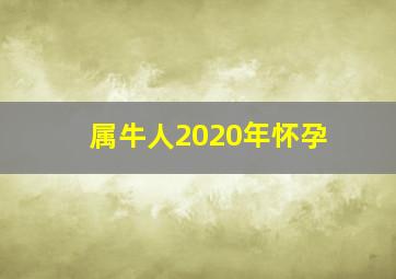 属牛人2020年怀孕,一胎与二胎相冲的属相