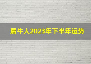 属牛人2023年下半年运势,属牛2023年运程及运势详解2023年属牛人全年每月运势