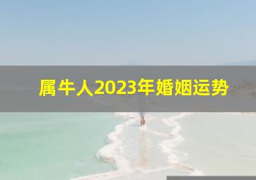 属牛人2023年婚姻运势