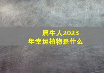 属牛人2023年幸运植物是什么,2021年出生属牛人2023年运势及运程