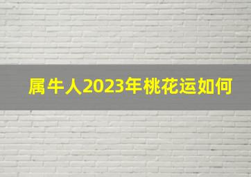 属牛人2023年桃花运如何,属牛人2023年催旺桃花还是斩“桃花劫”与爱人能开花结果吗