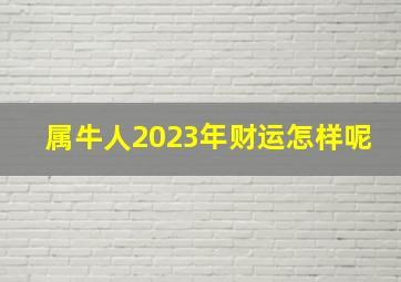 属牛人2023年财运怎样呢,属牛2023年正财运怎么样赚得盆满钵满