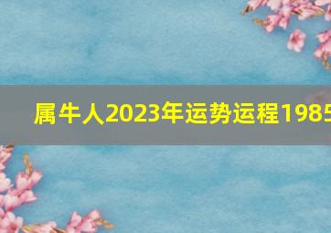 属牛人2023年运势运程1985,85年属牛何时走大运2023年整体运势