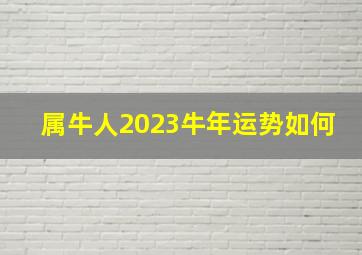 属牛人2023牛年运势如何,2023属牛人全年运势1985