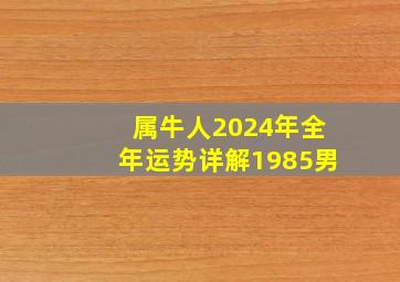 属牛人2024年全年运势详解1985男,属牛的人2024年的运势及运程