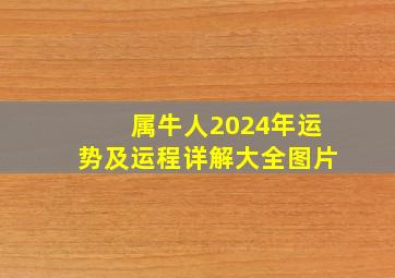 属牛人2024年运势及运程详解大全图片,属牛2024年运势及运程每月运程