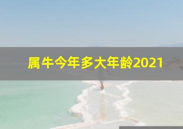 属牛今年多大年龄2021,属牛年龄查询表对照表对应岁数多大