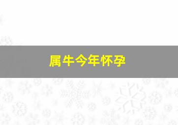 属牛今年怀孕,本命运势2021年属牛女能怀孕要孩子吗