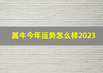 属牛今年运势怎么样2023,属牛2023年运程及运势详解2023年属牛人全年每月运势