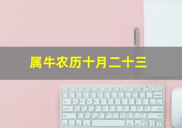 属牛农历十月二十三,1973年阴历10月23属牛的人2011年运程男